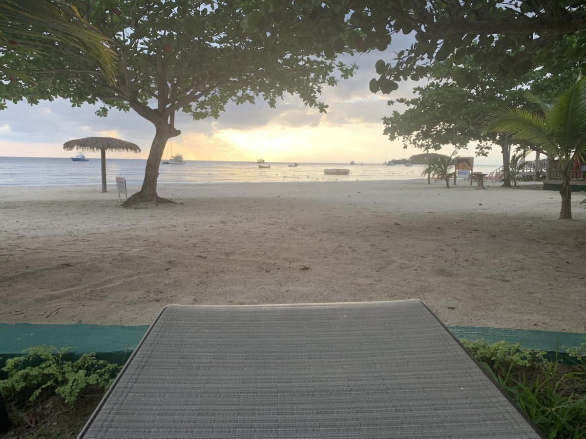 King Suite At Oceanview Resort In Jamaica - Enjoy 7 Miles Of White Sand Beach! Негрил Экстерьер фото